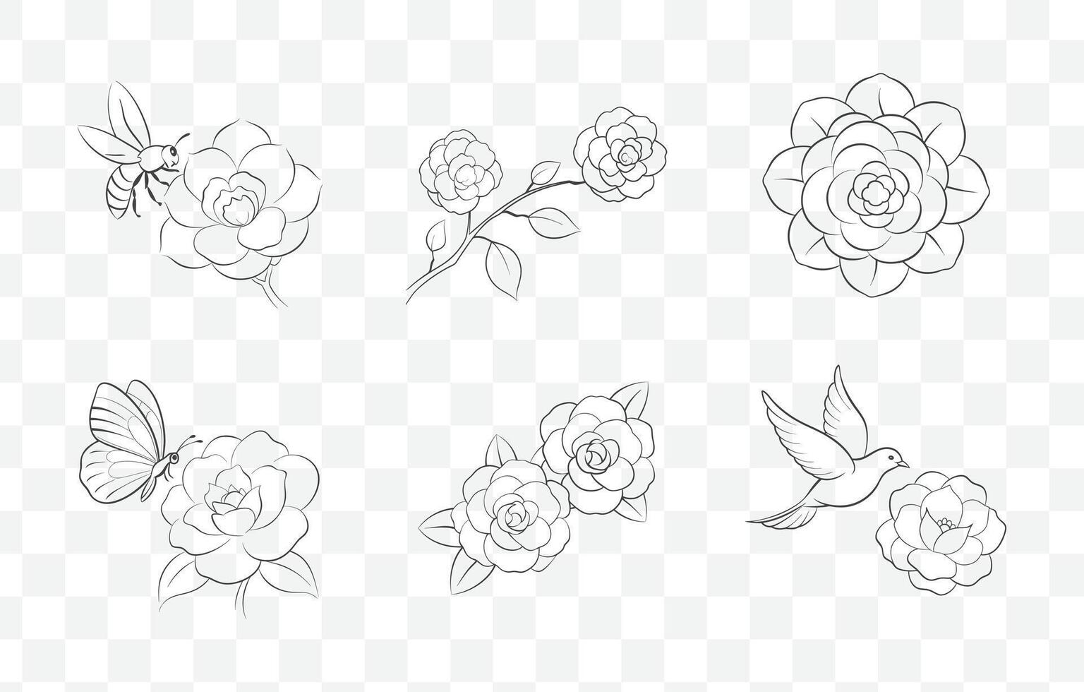 Print Camellia Flower Line Art Set Detailed Botanical Illustrations of Camellia Blossoms and Foliage vector