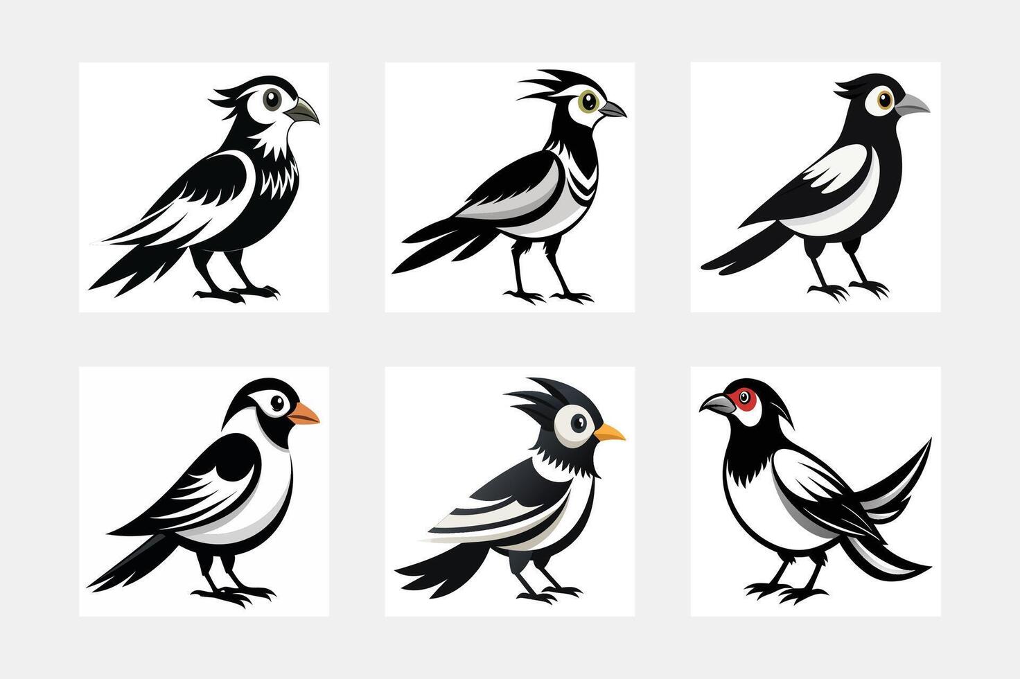 set of birds vector