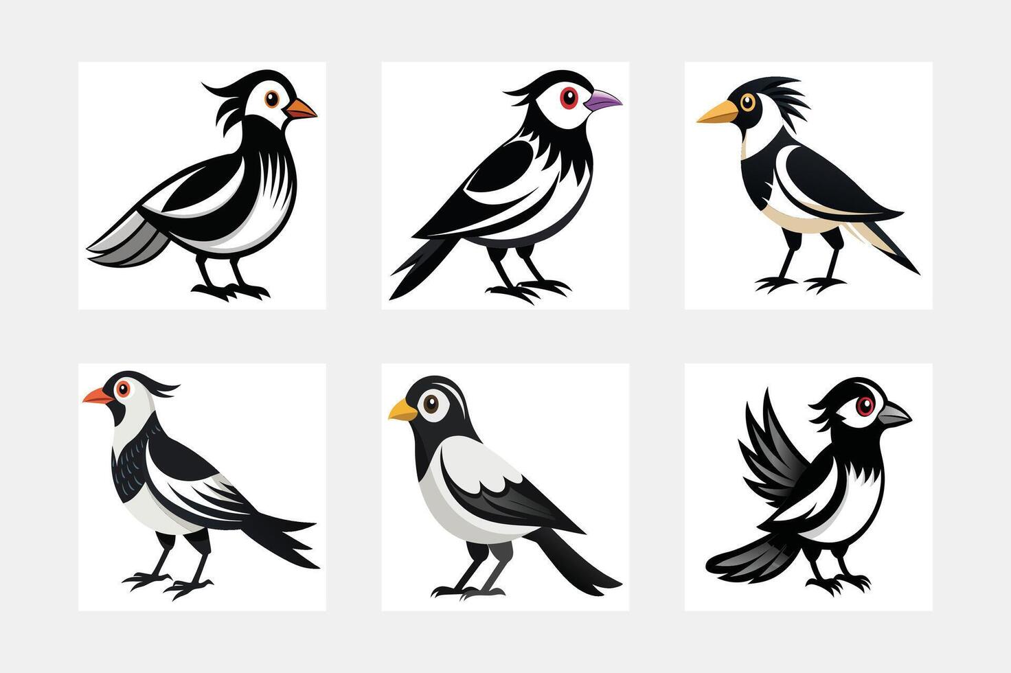 collection of birds vector
