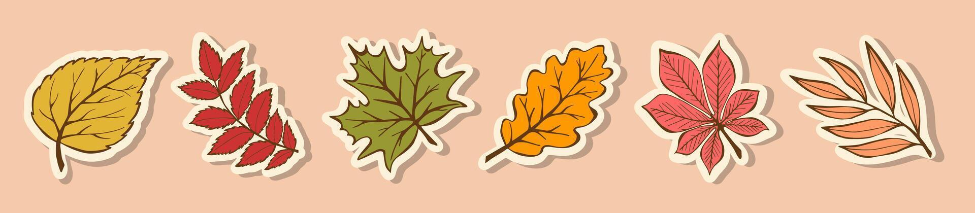 Modern Stickers autumn leaves in hand-drawn style. Bright Trendy Seasonal falling leaves of maple, birch, oak, rowan, willow, chestnut. Doodle Autumn Elements for poster, banner, social media, web. vector