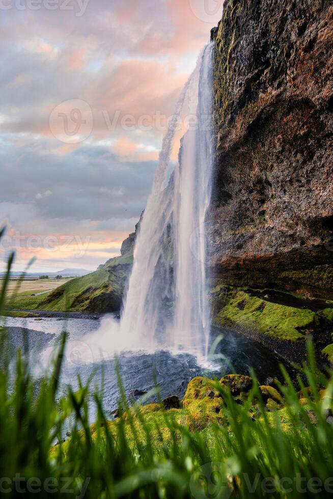 Majestic Seljalandsfoss Waterfall at Sunset in Iceland with Lush Green Landscape photo