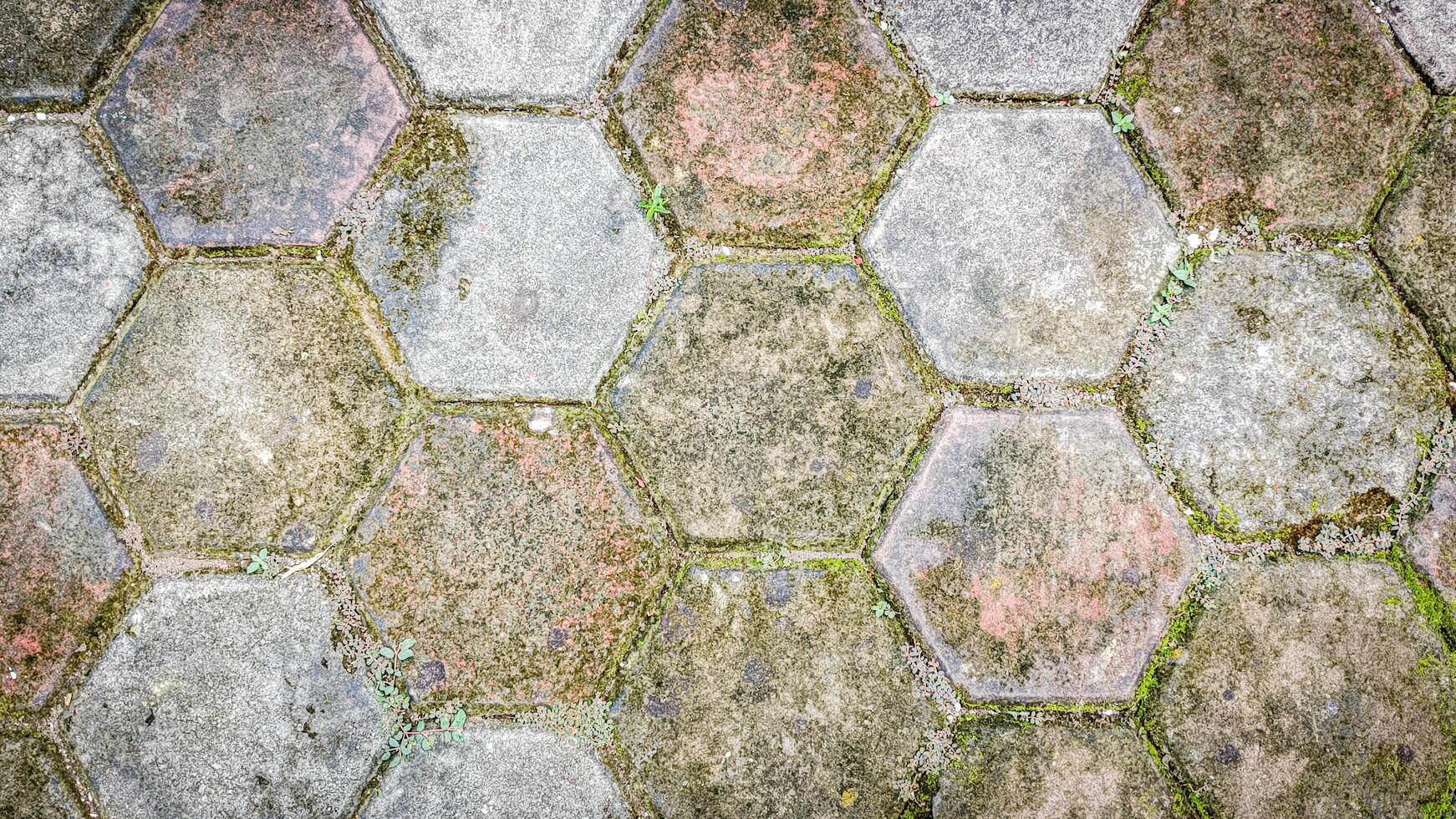neatly arranged hexagonal conblocks for road coverings photo