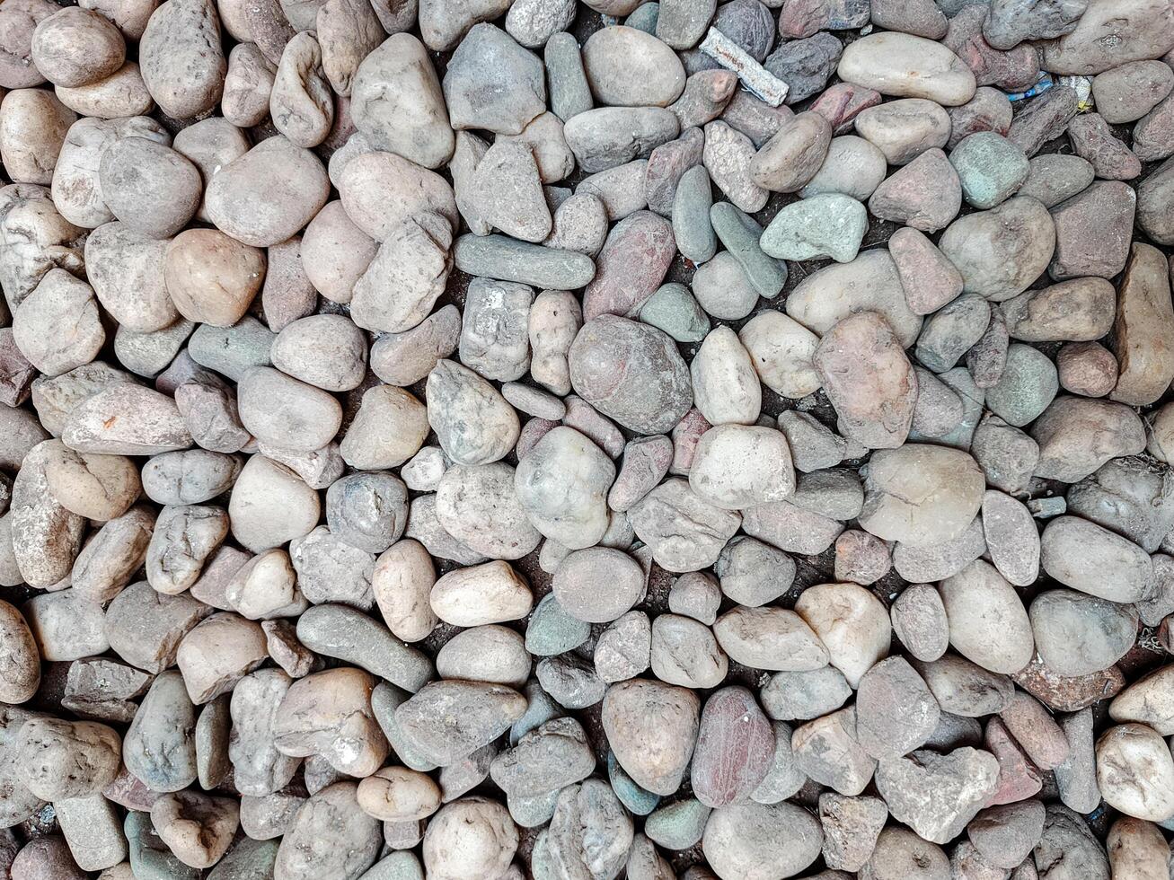 a collection of natural oval stones commonly found in rivers for the background photo
