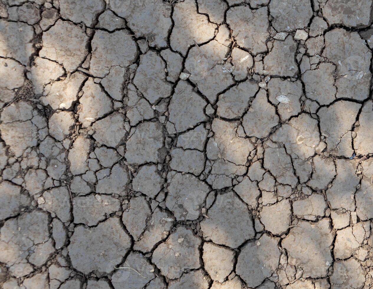 Close-up of parched soil with deep cracks forming intricate patterns, illuminated by soft sunlight. photo