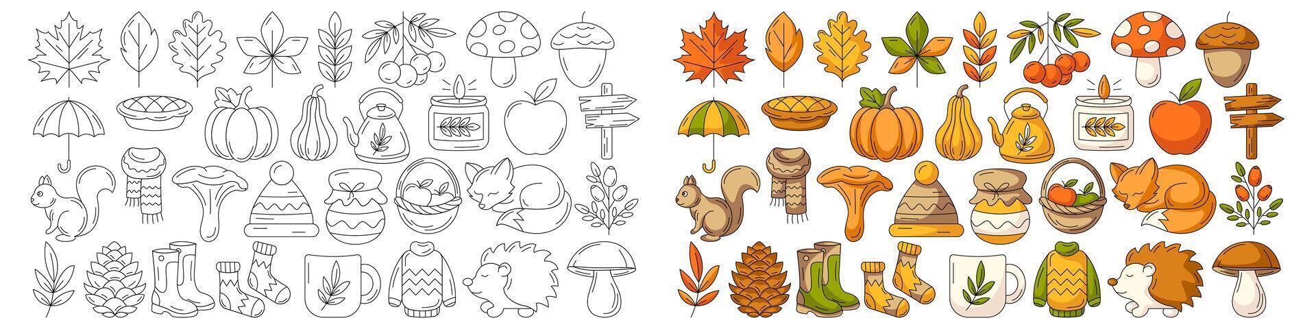 Autumn black outline icons and colorful illustration set. Season collection, seasonal elements, symbols and attributes. Fall leaves, clothes, mushrooms, wild animals, berry, pumpkin. vector