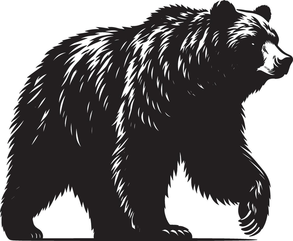 Bear Walking Silhouette illustration isolated on white background vector