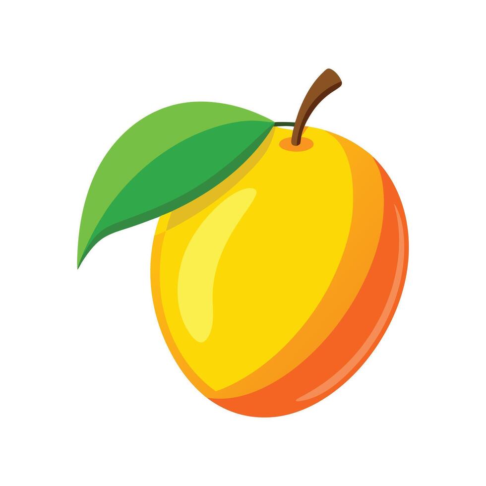 Mango Vectors Illustrations