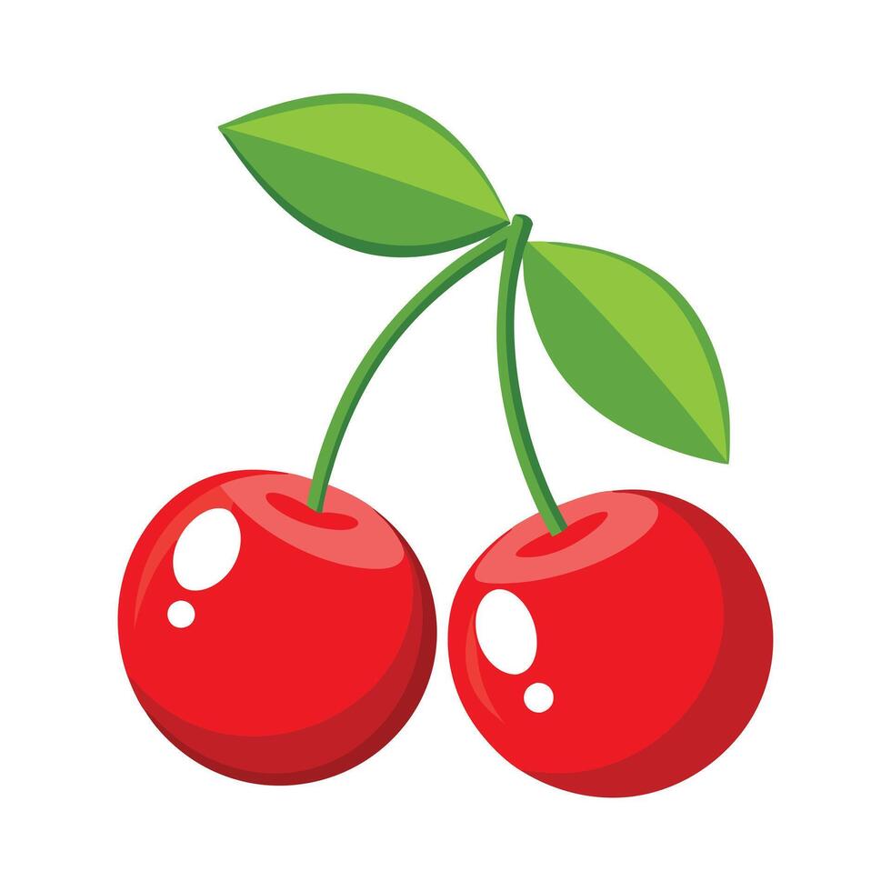 Red cherry illustration vector