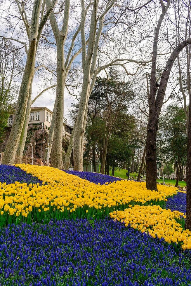 Istanbul, Turkiye, April 14, 2023, Gulhane Park Water screen in Istanbul. Paths, trees and flower beds in a park in Istanbul. photo