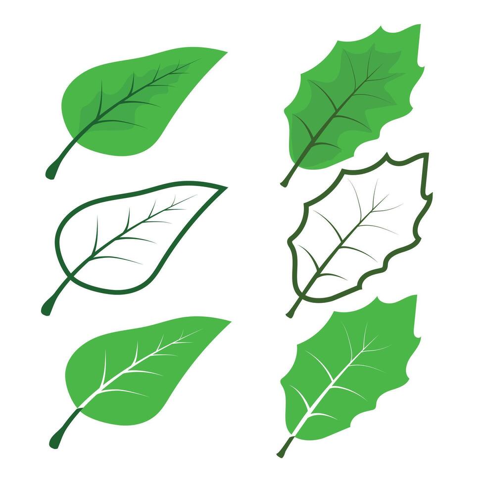 Set of leaves vector