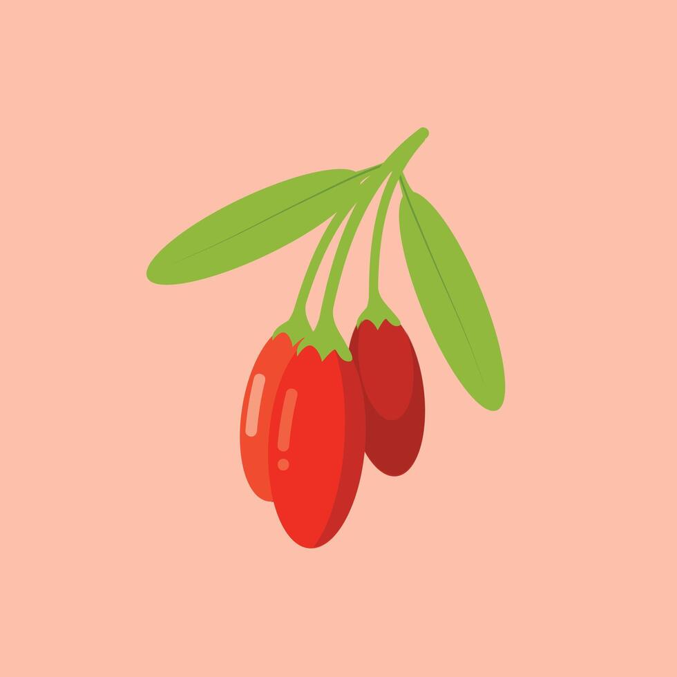 Goji berries design, chinese wolfberries icon, lycium barbarum or lycium chinense vector
