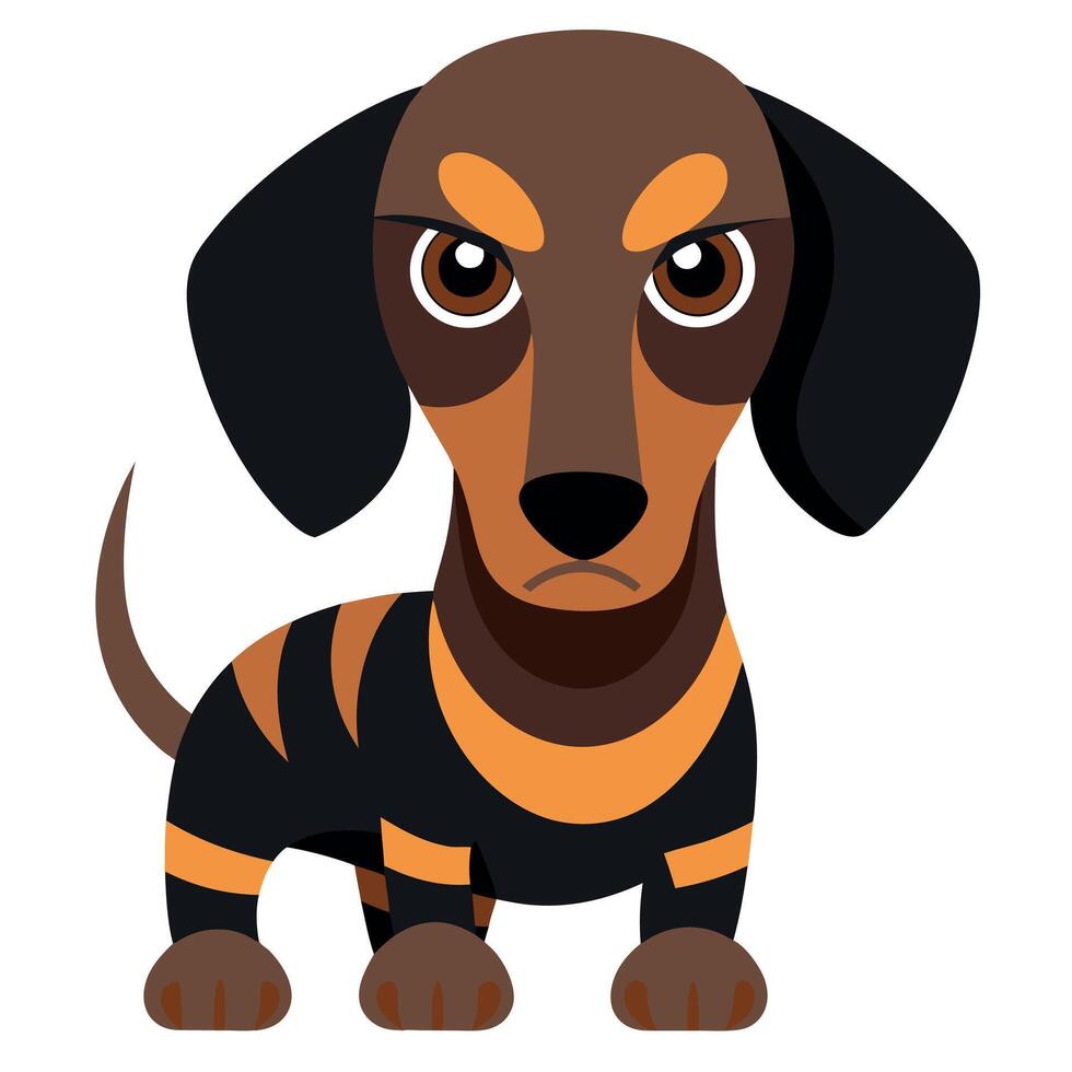 Dapple Dachshund dog angry kawaii vector