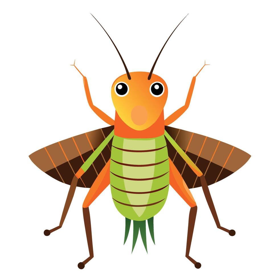 Desert Locust cricket runs kawaii vector