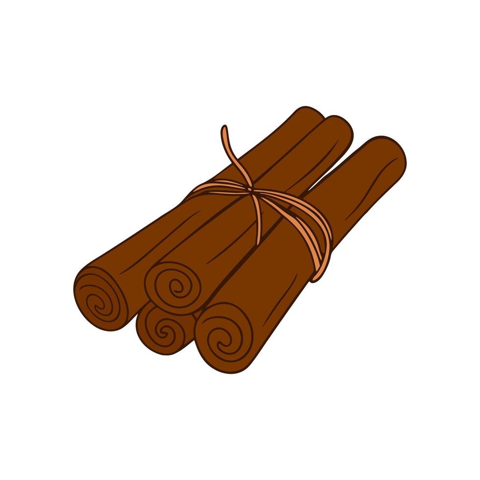 Cinnamon sticks tied with string, brown drawing isolated on white background. vector