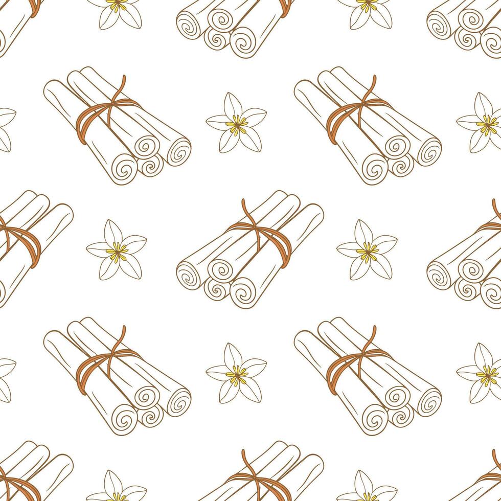 Pattern with brown cinnamon sticks and vanilla flower, doodle outline contour drawing on white background vector