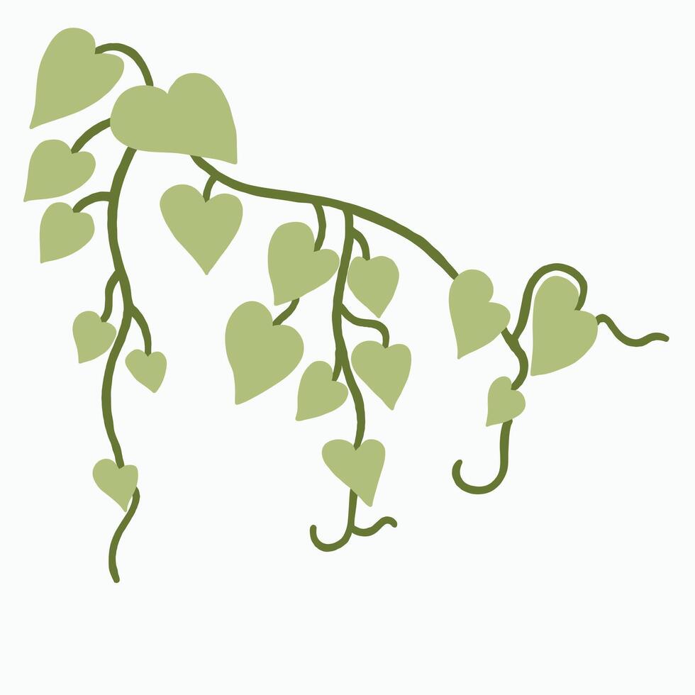 Floral ivy drawing decorative ornament flat design. vector