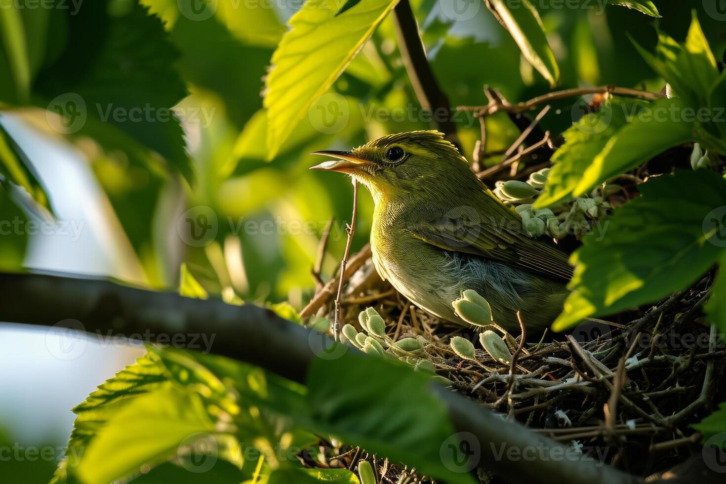 A Small Green Bird Resting in a Nest Hidden in Lush Foliage photo