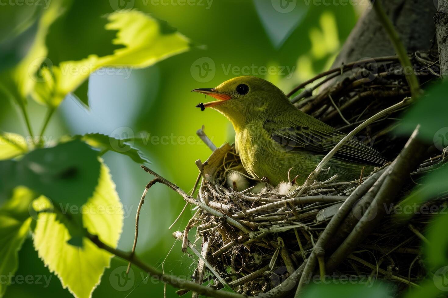 Yellow Warbler Feeding Nestlings in a Tree photo