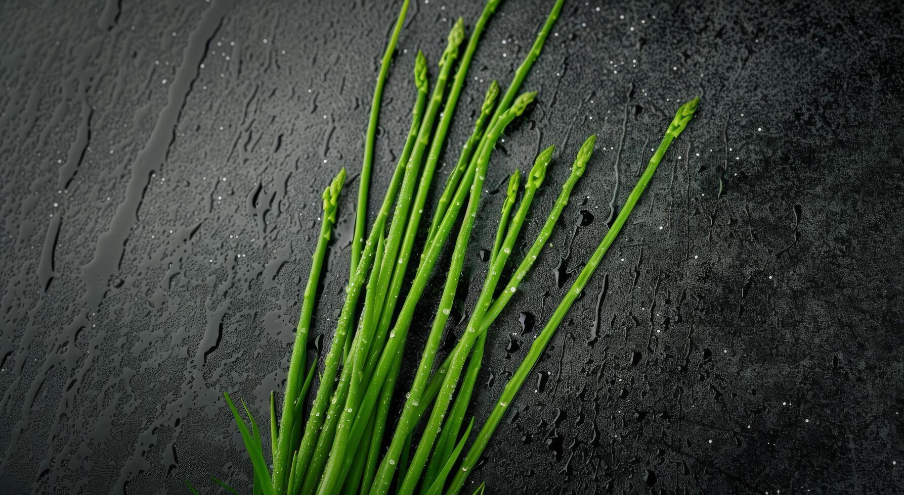 Fresh Asparagus Stalks With Water Droplets on Black Slate Surface photo