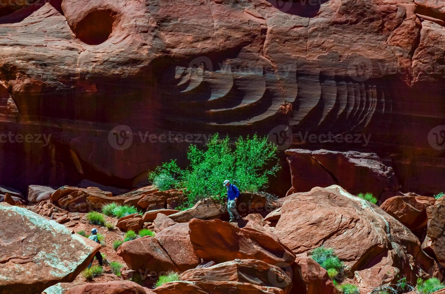 Layered geological formations of red rocks in Canyonlands National Park is in Utah near Moab. photo