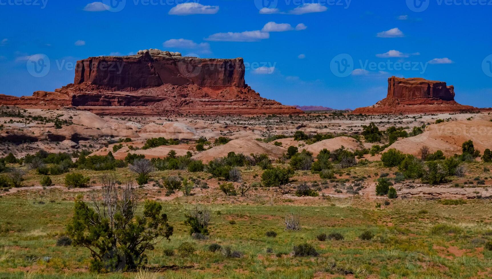Layered geological formations of red rocks in Canyonlands National Park is in Utah near Moab. photo