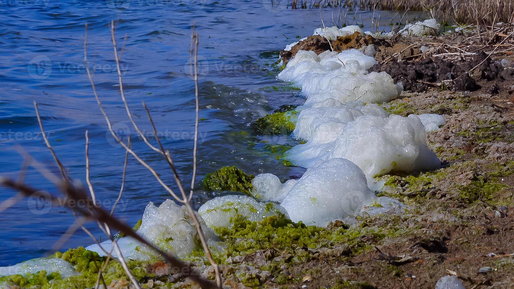 Environmental problem and pollution, eutrophication of a natural reservoir, dirty foam on the shore, Tiligul estuary photo
