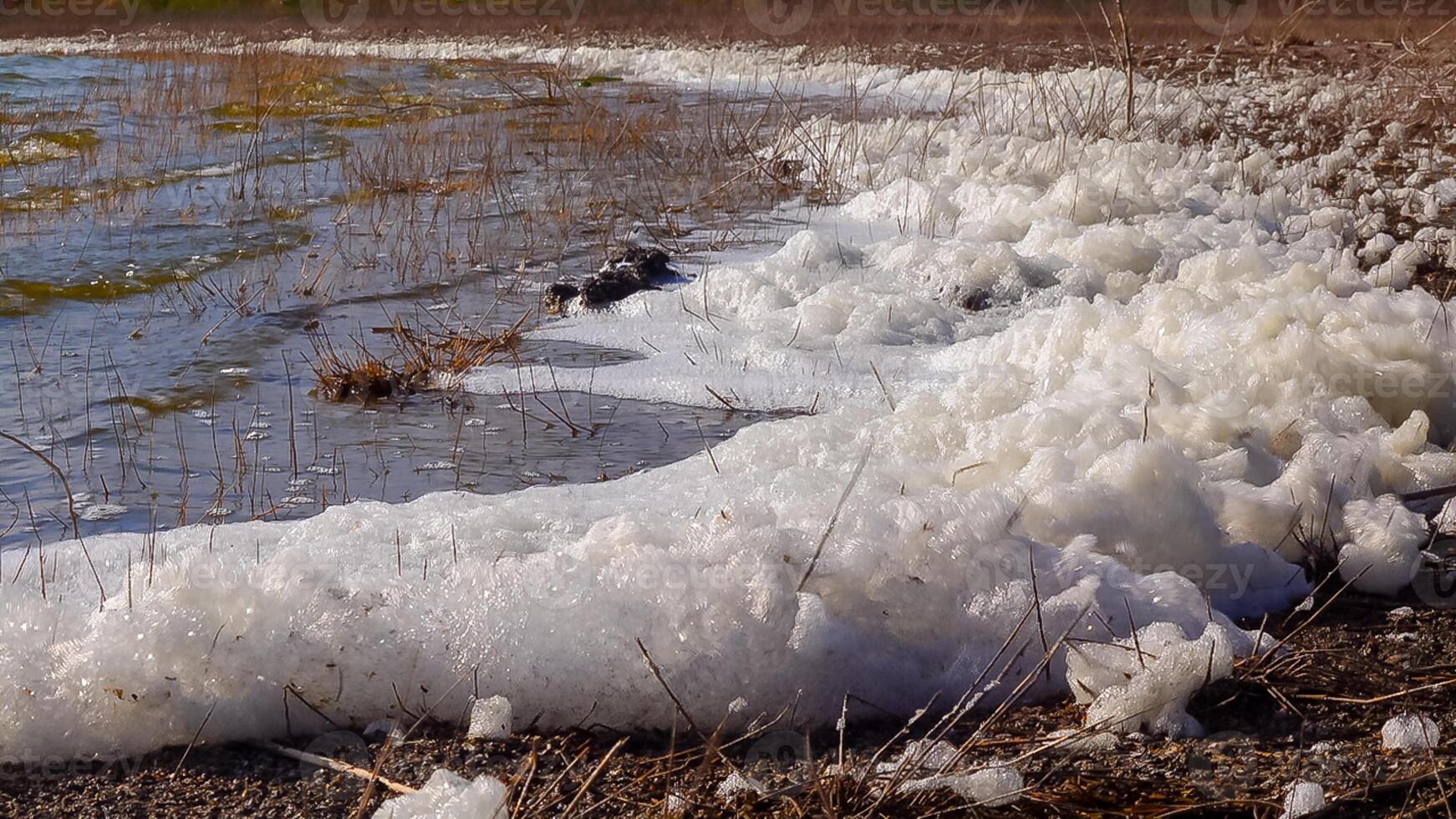 Environmental problem and pollution, eutrophication of a natural reservoir, dirty foam on the shore, Tiligul estuary photo