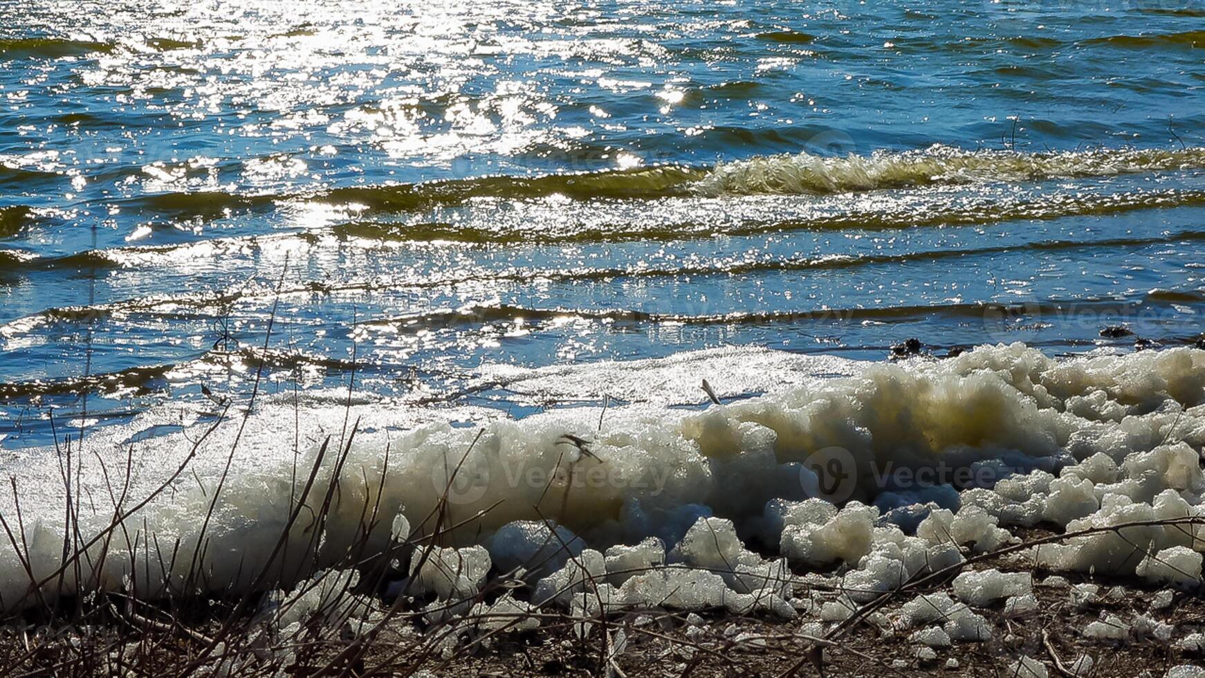 Environmental problem and pollution, eutrophication of a natural reservoir, dirty foam on the shore, Tiligul estuary photo