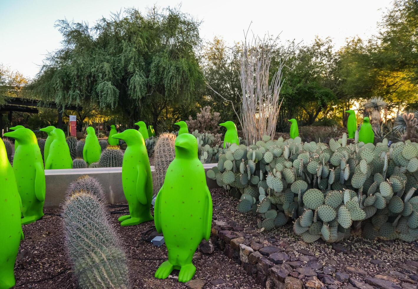 USA, PHENIX, ARIZONA- NOVEMBER 17, 2019 multi-colored plastic animal figures among cacti of different species in the botanical garden of the Phoenix, Arizona photo