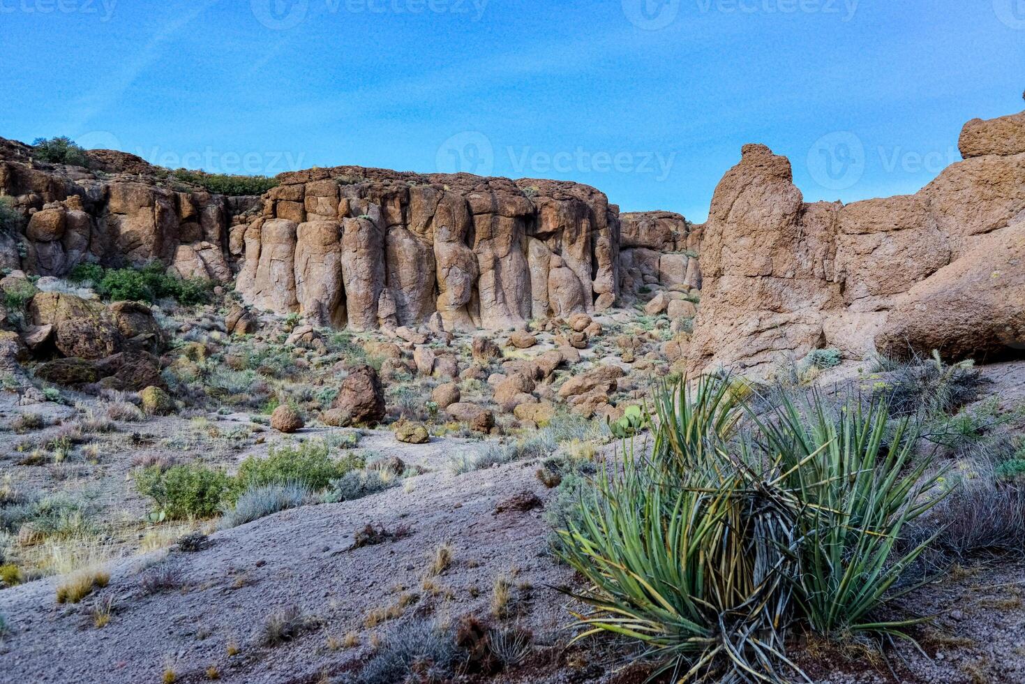 Desert landscape with cacti, Mountain erosion formations of red mountain sandstones, Arizona photo