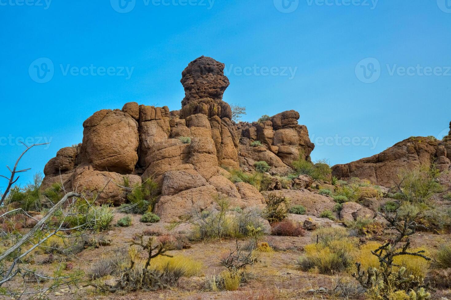 Agava, Yucca and Cacti in a Red Cliffs Mountain Landscape in California photo
