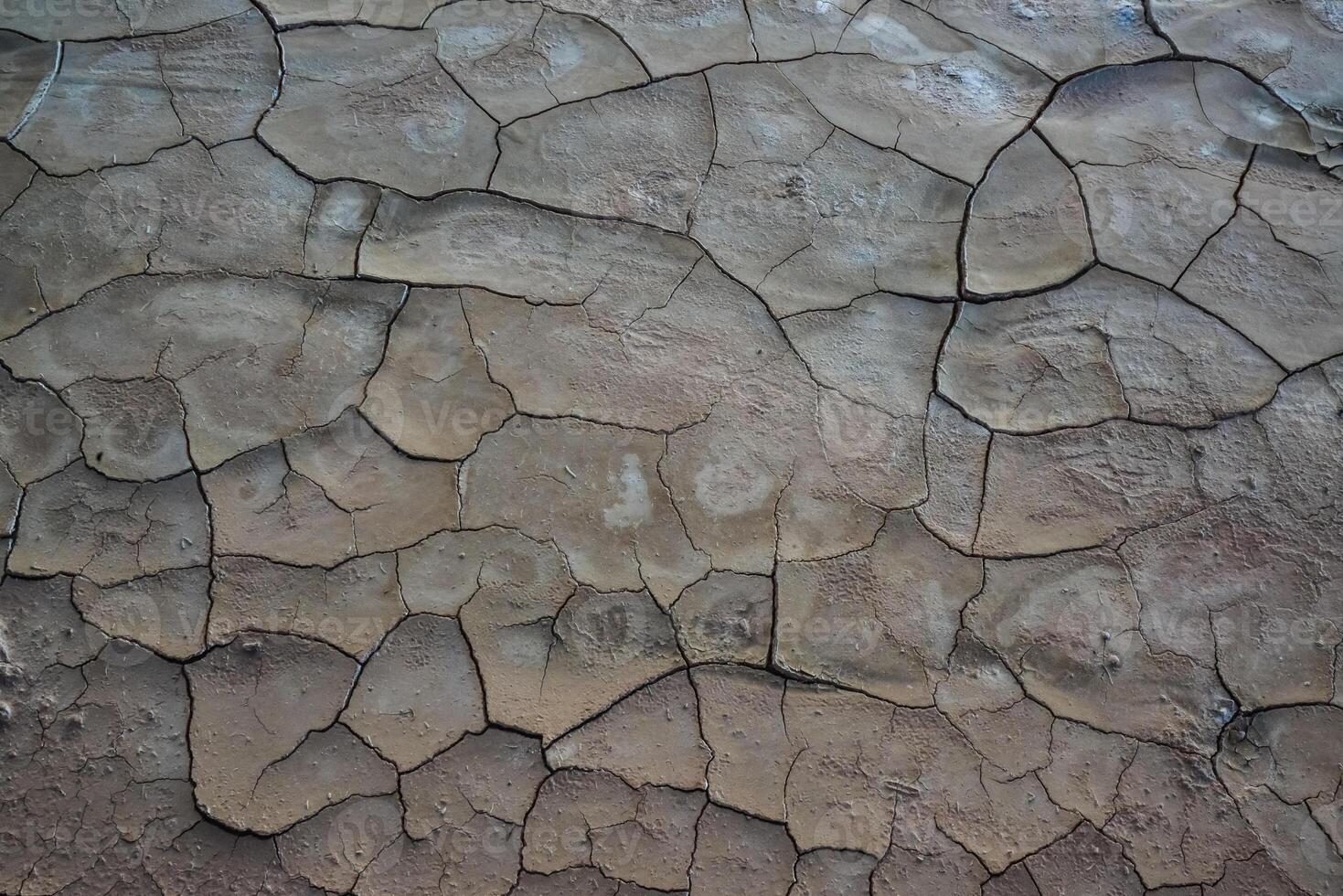 Cracked red clay and white salt on the surface in a dried riverbed in the desert of New Mexico, USA photo