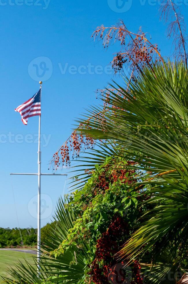 An American flag flies in the wind near tropical vegetation in south Florida photo