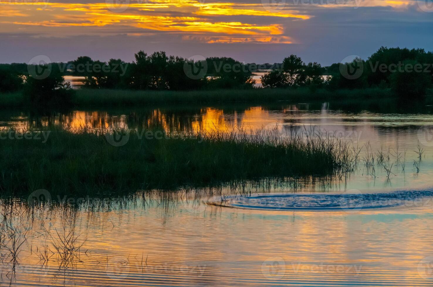 Beautiful sunset over the swamp in Louisiana, the reflection of clouds in the water, USA photo