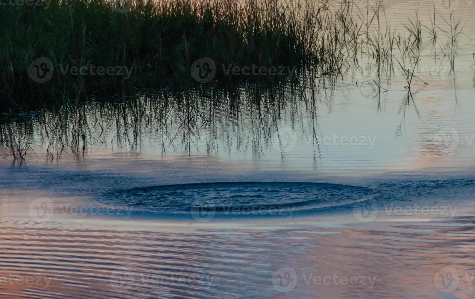 Beautiful sunset over the swamp in Louisiana, the reflection of clouds in the water, USA photo