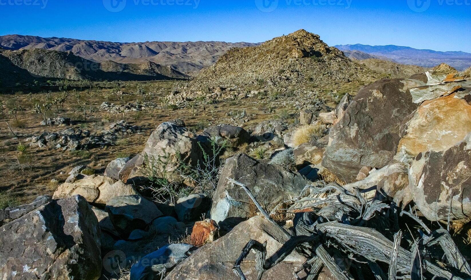 Rock landscape, Yucca Brevifolia Mojave Desert Joshua Tree National Park, CA photo