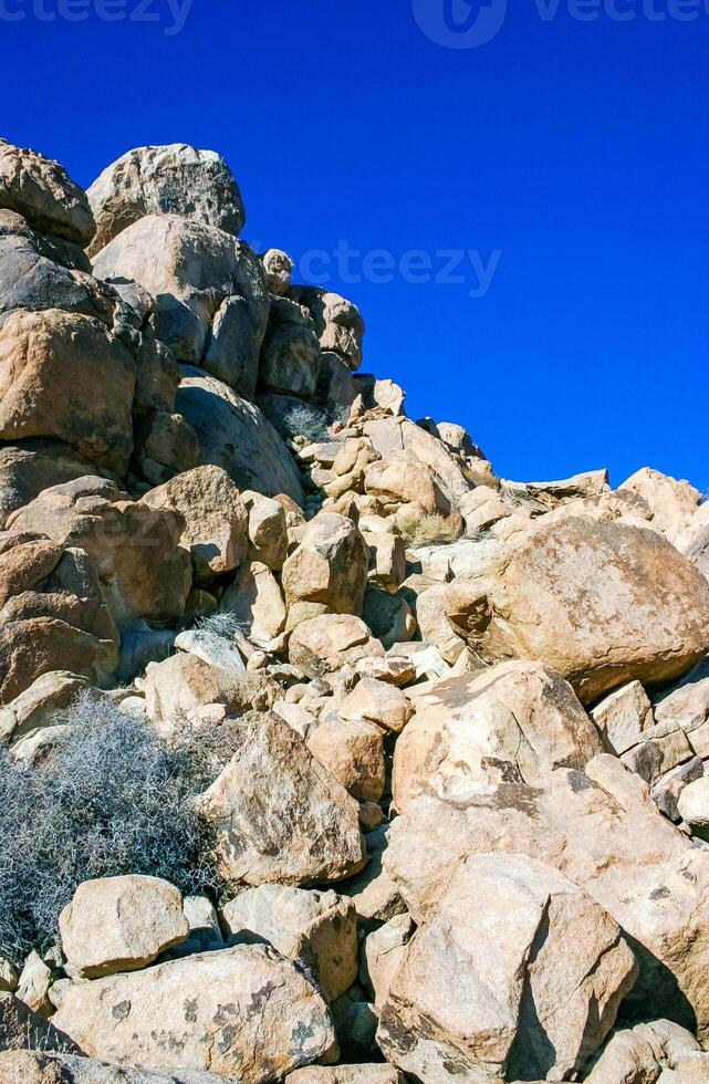 Desert stone landscape Joshua Tree, Big Rocks and Yucca Brevifolia Mojave Desert, Joshua Tree National Park, California photo