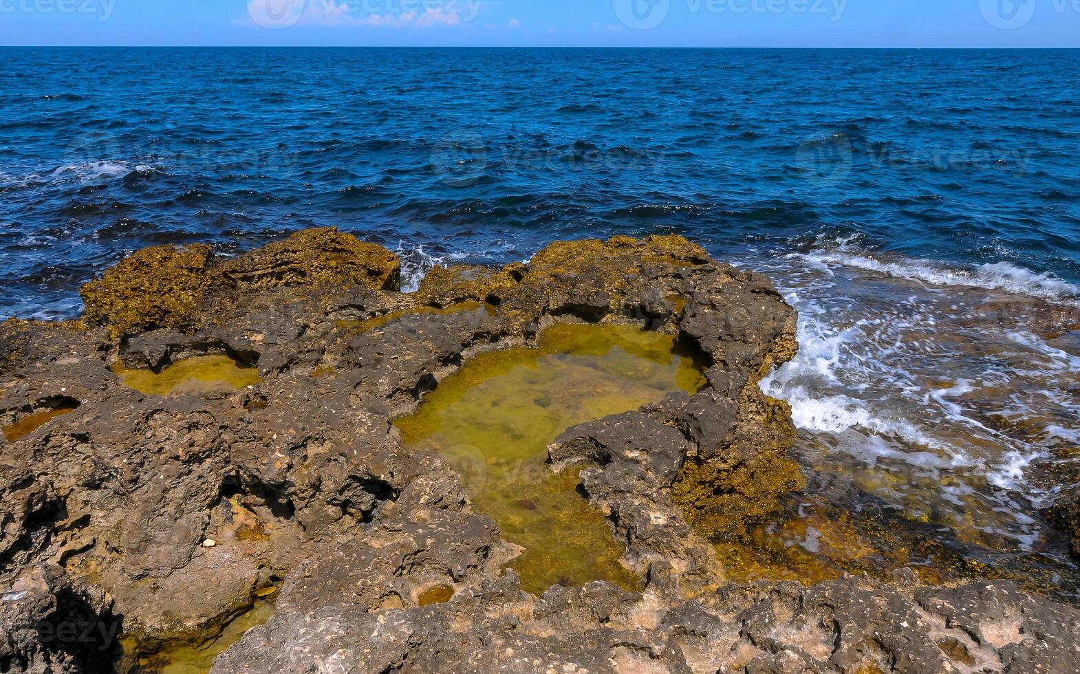 Flat rocky shore with many littoral puddles rich in life, in the eastern Crimea, Black Sea photo