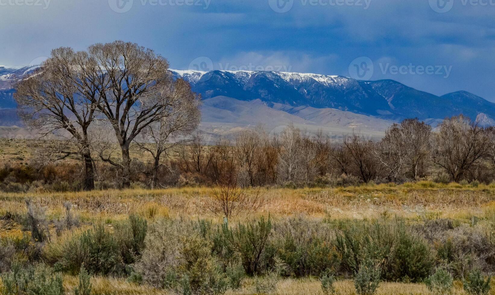 Mountain landscape, snow in the mountains in spring in Montana photo