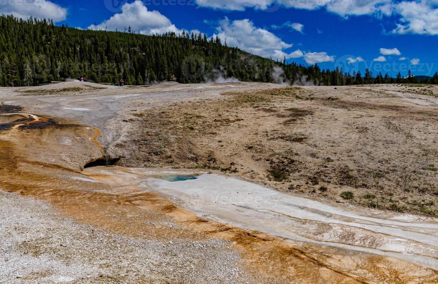 Boiling water bubbler Geyser. Active geyser with major eruptions. Yellowstone NP, Wyoming, US photo