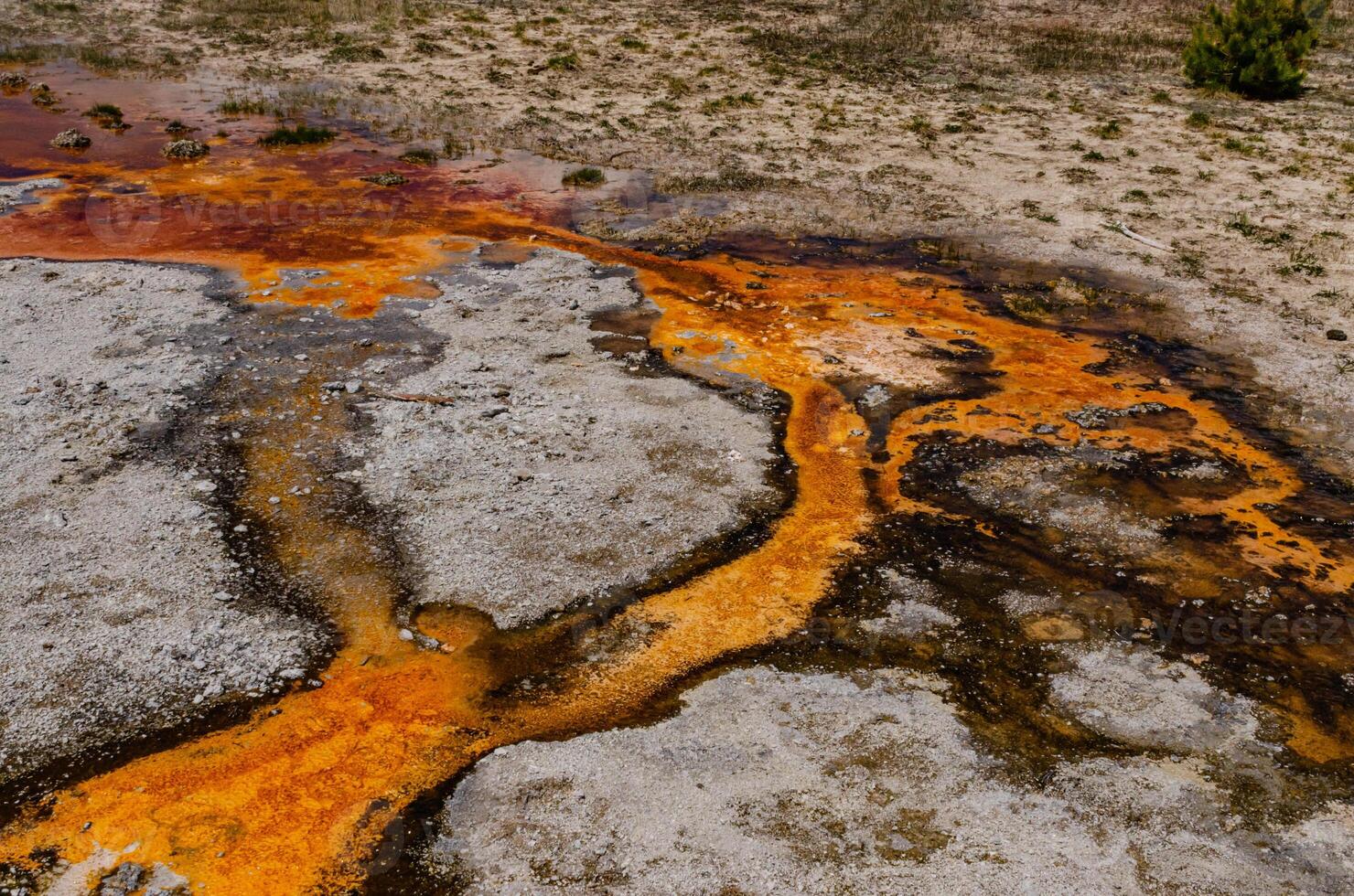 Boiling water bubbler Geyser. Active geyser with major eruptions. Yellowstone NP, Wyoming, US photo