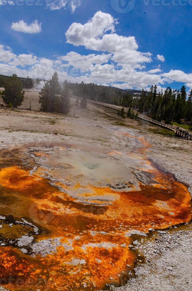 Boiling water bubbler Geyser. Active geyser with major eruptions. Yellowstone NP, Wyoming, US photo