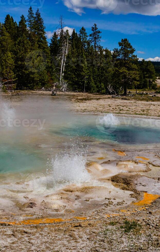 Boiling water bubbler Geyser. Active geyser with major eruptions. Yellowstone NP, Wyoming, US photo