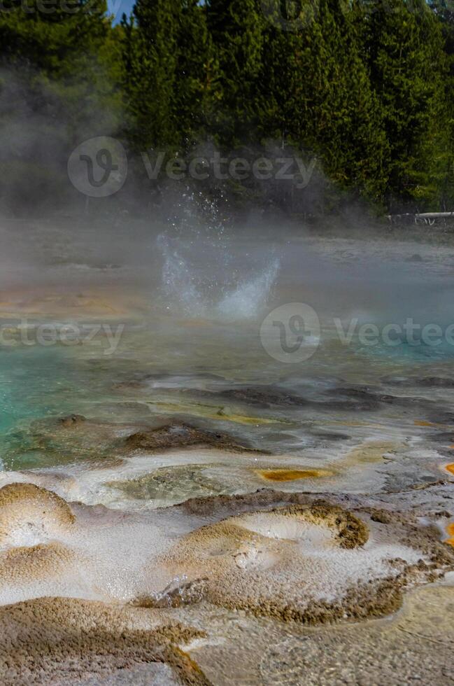 Boiling water bubbler Geyser. Active geyser with major eruptions. Yellowstone NP, Wyoming, US photo