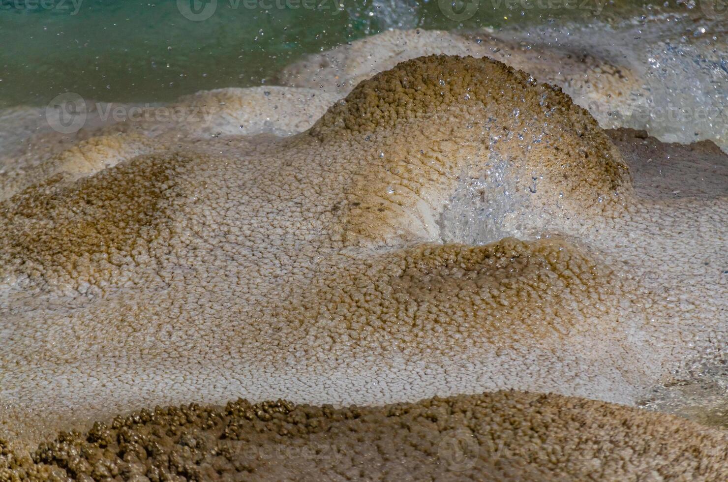 Boiling water bubbler Geyser. Active geyser with major eruptions. Yellowstone NP, Wyoming, US photo