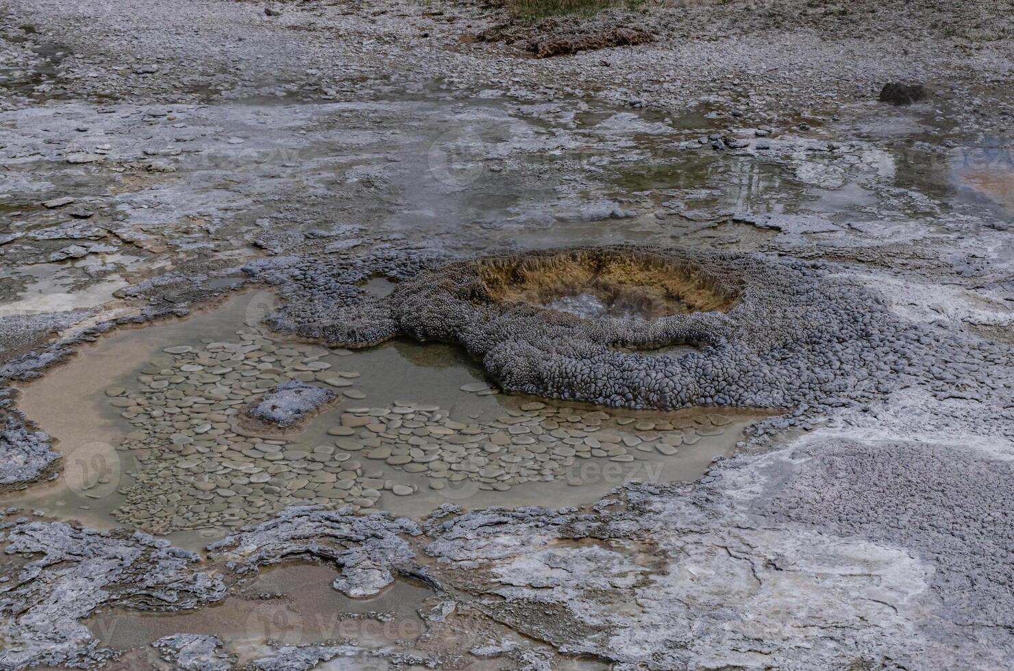 Boiling water bubbler Geyser. Active geyser with major eruptions. Yellowstone NP, Wyoming, US photo