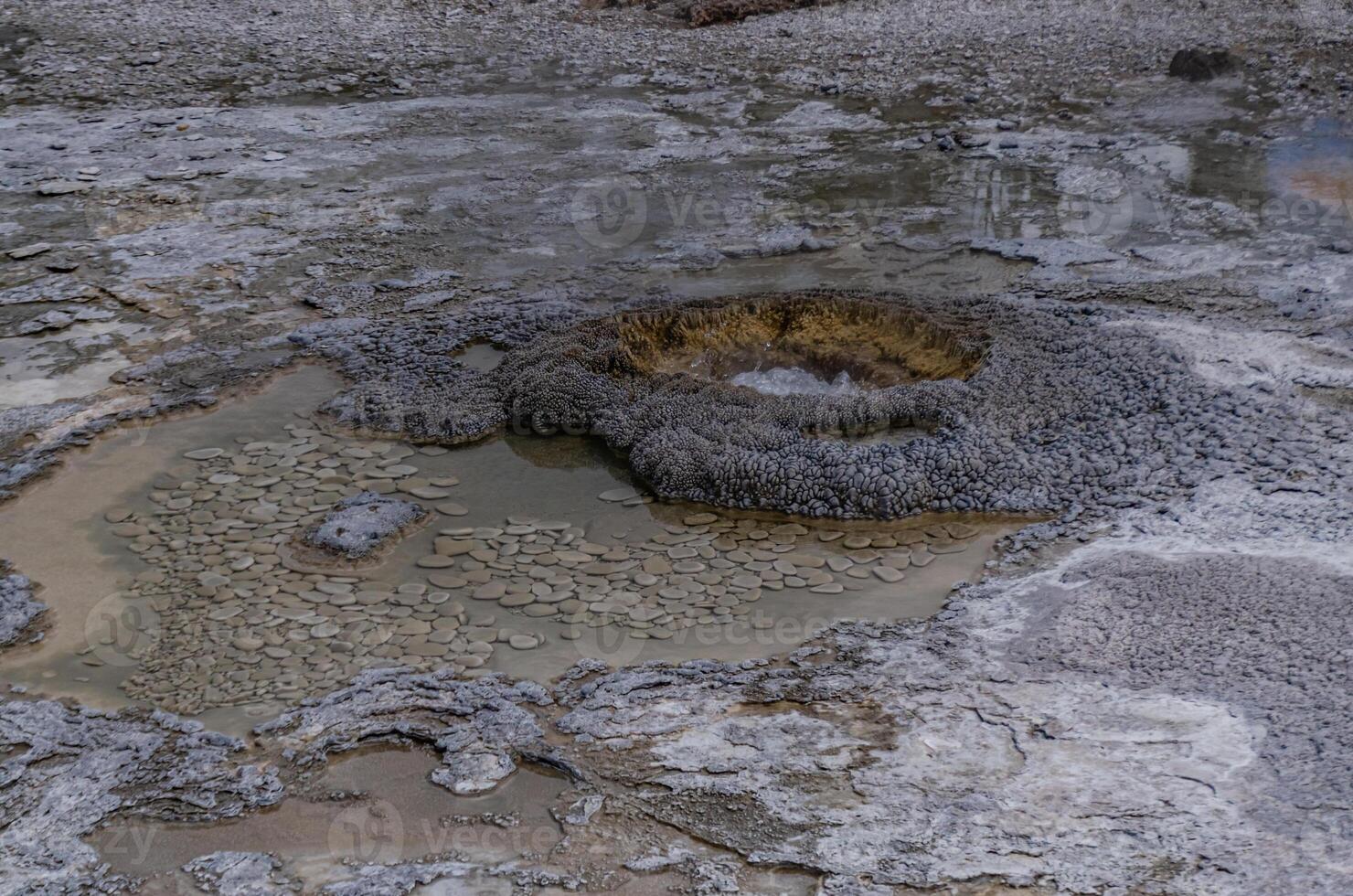 Boiling water bubbler Geyser. Active geyser with major eruptions. Yellowstone NP, Wyoming, US photo