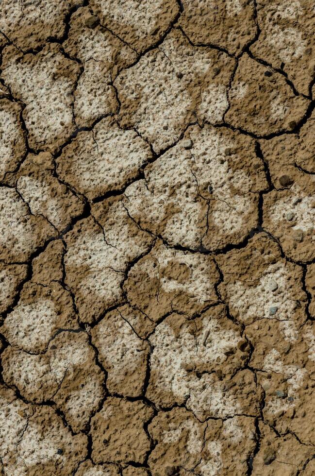A pattern on dried silt. Dry land in the desert, Utah US photo