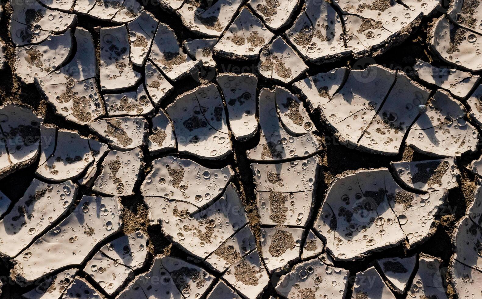 A pattern on dried silt. Dry land in the desert, Utah US photo