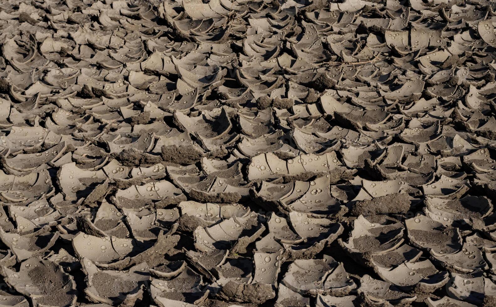 A pattern on dried silt. Dry land in the desert, Utah US photo